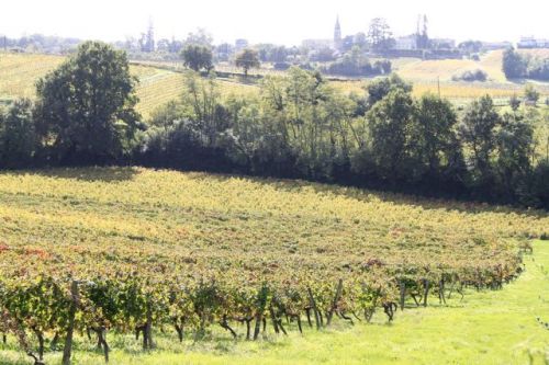 Location de vacances Les sarments de Sauvage pour 8 personnes avec piscine