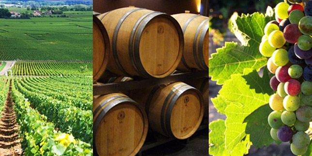 visite chateau bordeaux