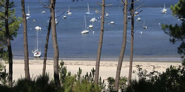 visite chateau bordelais